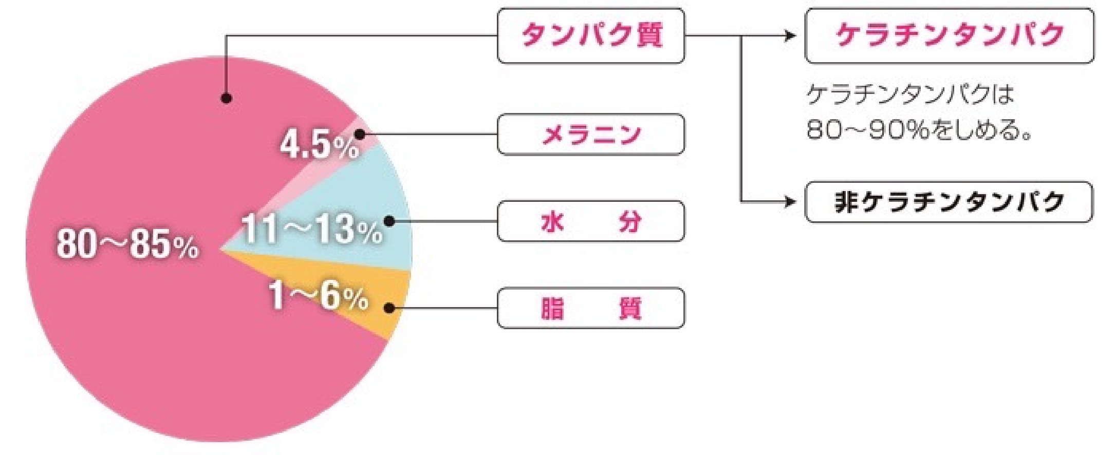 健康な髪の構成成分